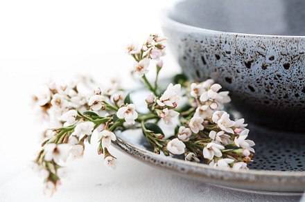 Stock Photo - Lifestyle Floral, a Photo by Savvy Stock Shop