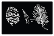 Vector silhouettes of fir branches, an Illustration by risovanya (Thumbnail 2 of 3)