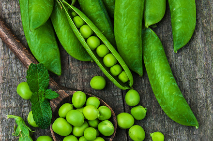 Green peas stock photo containing peas and pea, a Food & Drink Photo by Olena Rudo