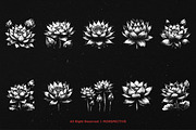 10 Bundle Dark Art Lotus Flower, an Illustration by Morspective (Thumbnail 6 of 7)