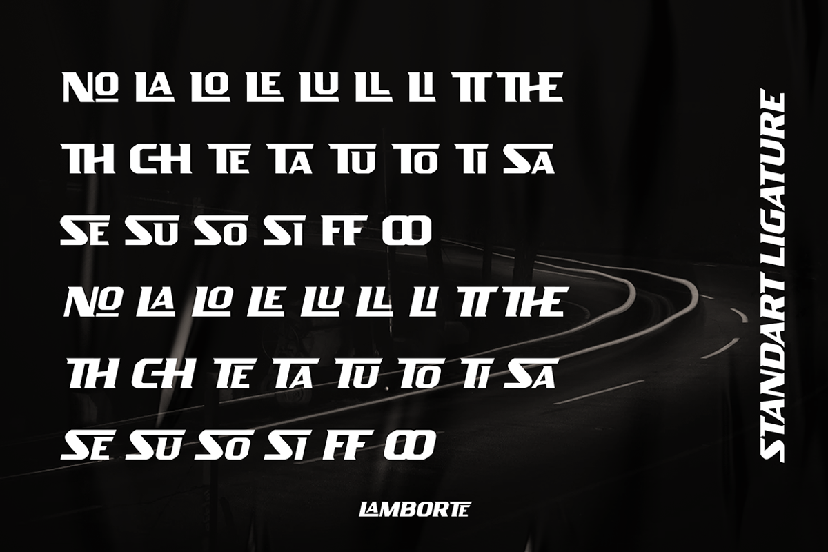 LAMBORTE, a Sans Serif Font by Haksen (Photo 10 of 10)