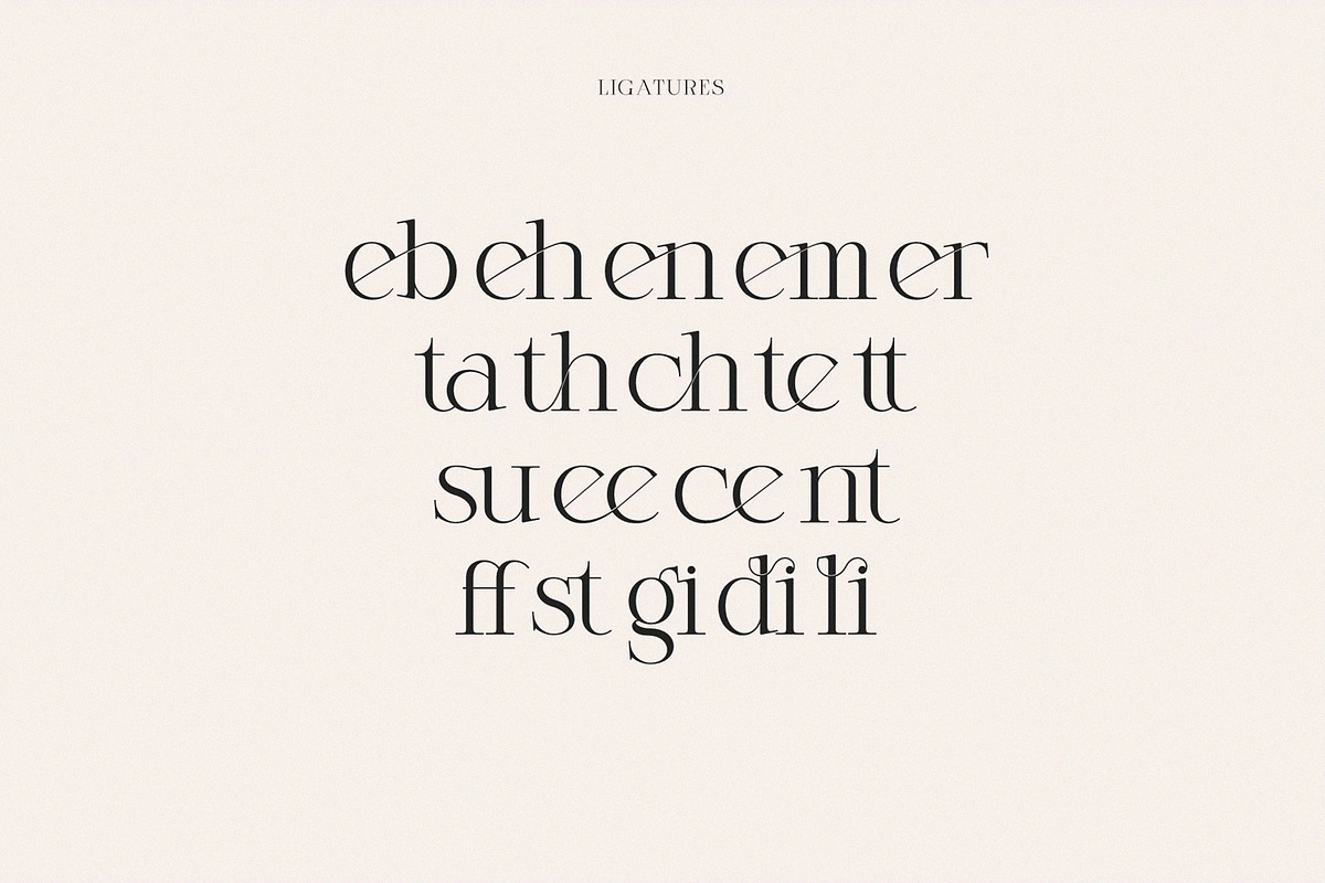 Bricho Modern Elegant Serif, a Serif Font by Alfinart (Photo 8 of 8)