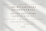 Roaming Glow – Elegant Modern Serif, a Serif Font by BrandSemut (Thumbnail 8 of 10)