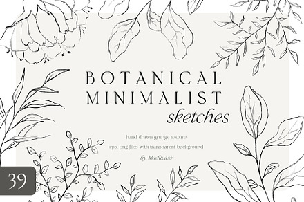 Minimalist floral botanical line art