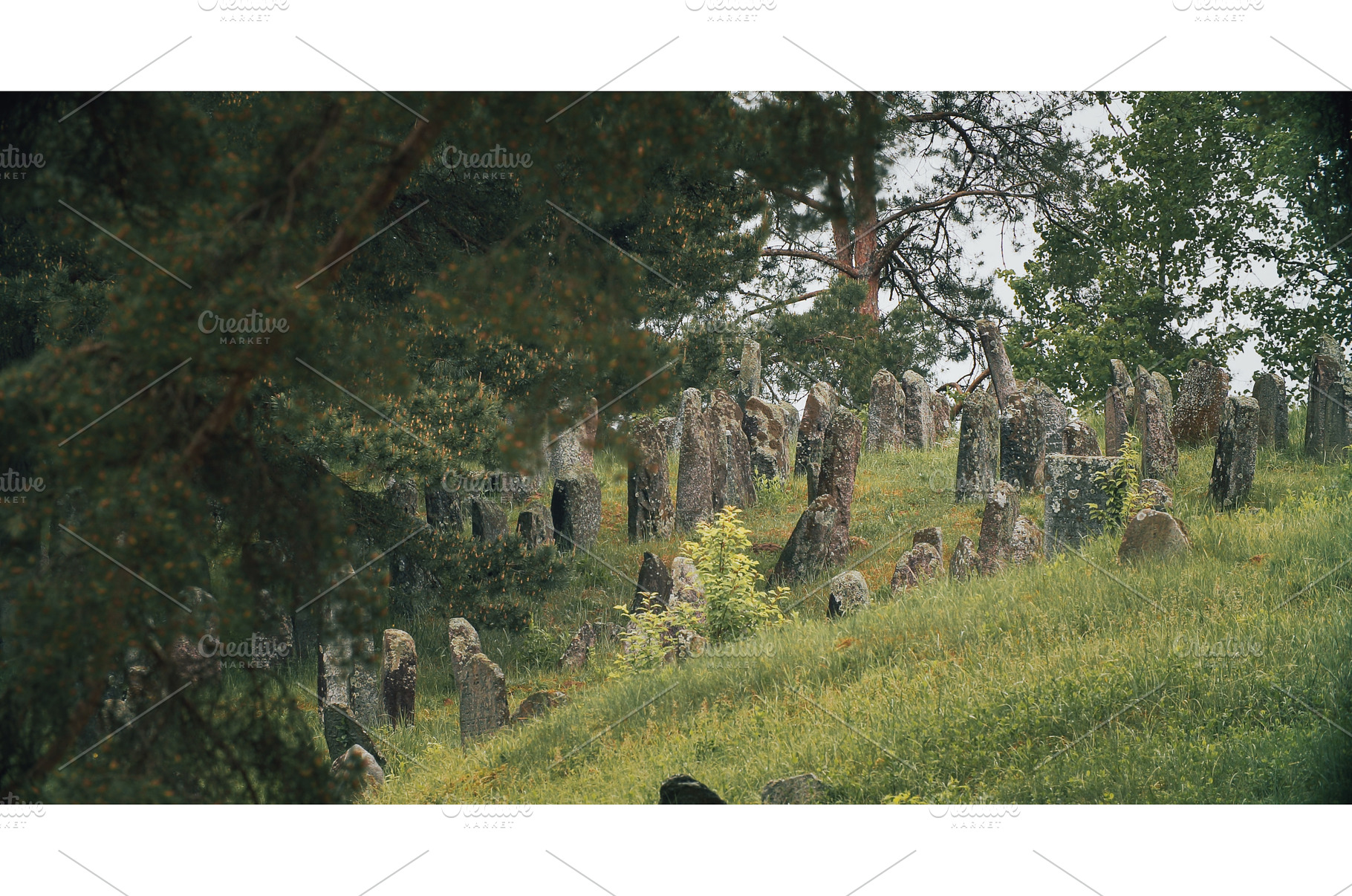 Old ancient Jewish cemetery in, an Architecture Photo by Our Amazing World