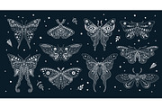 Mystic moth tattoo mystery butterfly, an Animal Illustration by Seavector Studio (Thumbnail 2 of 3)