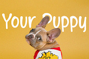 LAUGHIES - Playful Handwritten Font, a Symbol Font by NTC Graphic (Thumbnail 4 of 8)