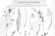 IKEBANA. Botanical Winter Kit., an Illustration by Pink Ocean (Thumbnail 10 of 16)