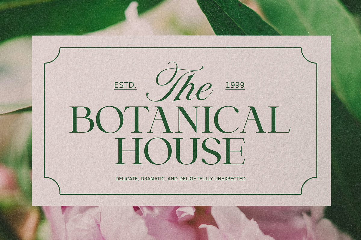 Stallion Font Duo, a Script Font by Suza Studio (Photo 11 of 13)