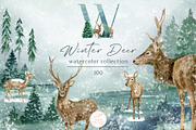 Winter Deer Watercolor Collection, an Animal Illustration by Olya Haifisch (Thumbnail 1 of 9)