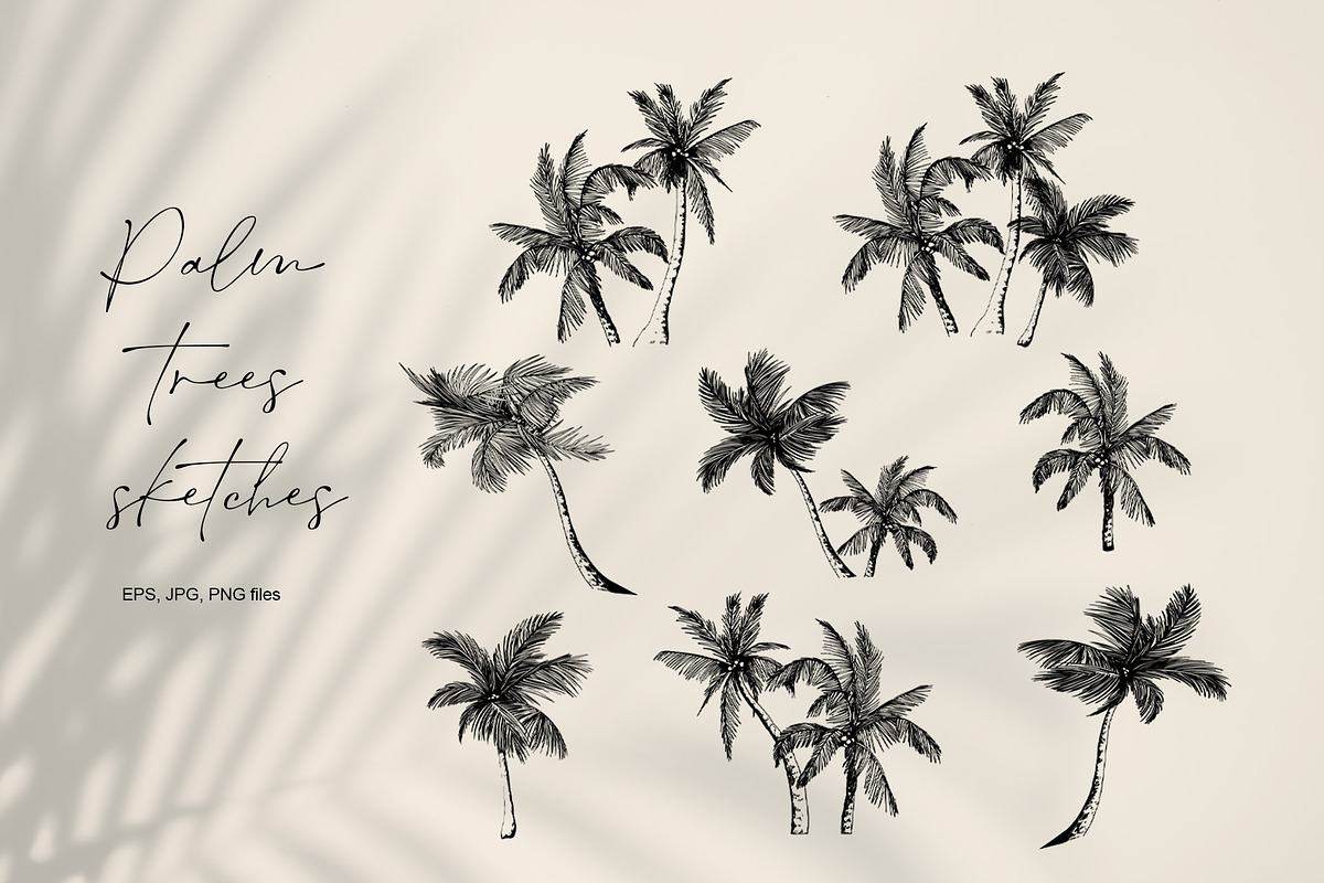 Tropical palm sketch, a Decorative Illustration by Jeanna Draw (Photo 6 of 7)