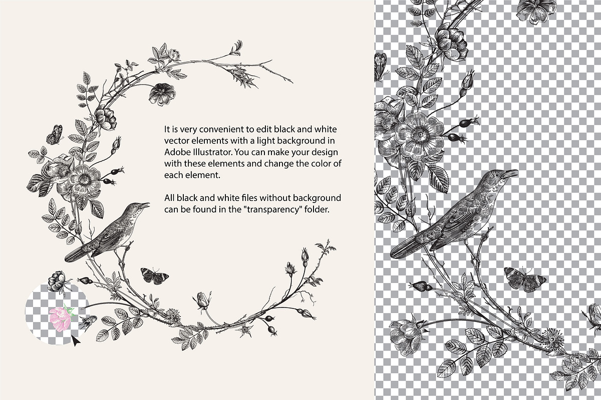 Wild Roses, a Decorative Illustration by olga.korneeva (Photo 23 of 24)