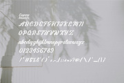 Laguna Hunters – Modern Script Font, a Script Font by Salamahtype (Thumbnail 7 of 7)