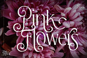 Dream Fantasy - Decorative Font, a Serif Font by creativemedialab (Thumbnail 9 of 16)