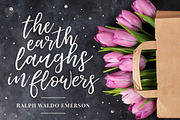 Loveline Brush Script + Swashes, a Script Font by Pink Coffie (Thumbnail 6 of 13)