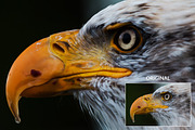 PRO Photoshop Actions Bundle, an Action Add-On by LUXDesignStudios (Thumbnail 13 of 18)