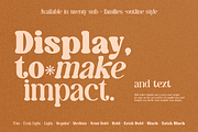 Caromy - Retro Variable Font, a Serif Font by Font Liner (Thumbnail 5 of 11)