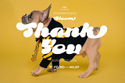 Bloom display font & badges, a Font by Tegh co. (Thumbnail 16 of 16)