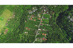 Lush green rice paddies and, a Background Photo by Goinyk