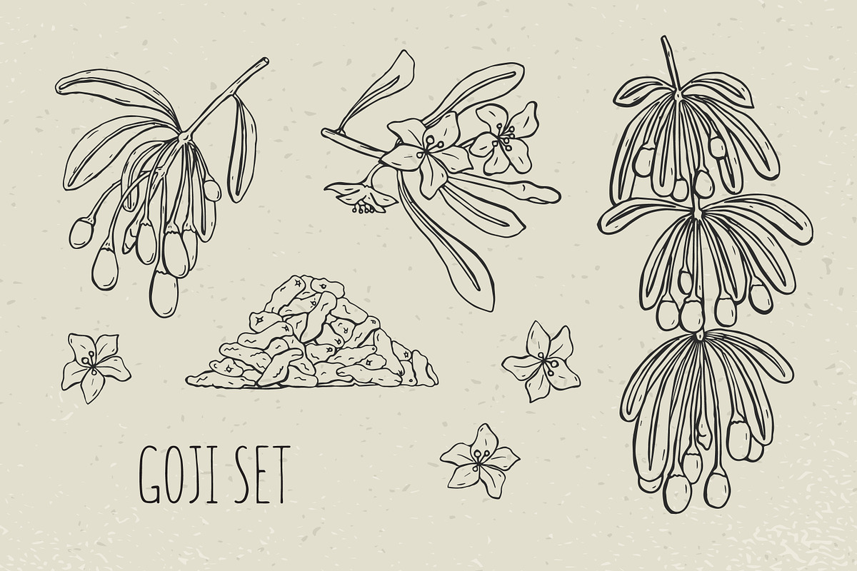 Goji berries set, seamless patterns, a Food Illustration by Good Studio (Photo 2 of 9)