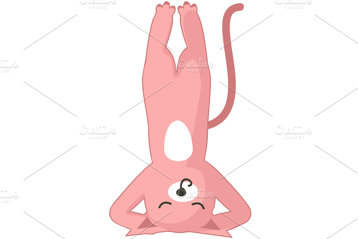 Yoga cat in handstand pose vector, an Animal Illustration by SiberianArt