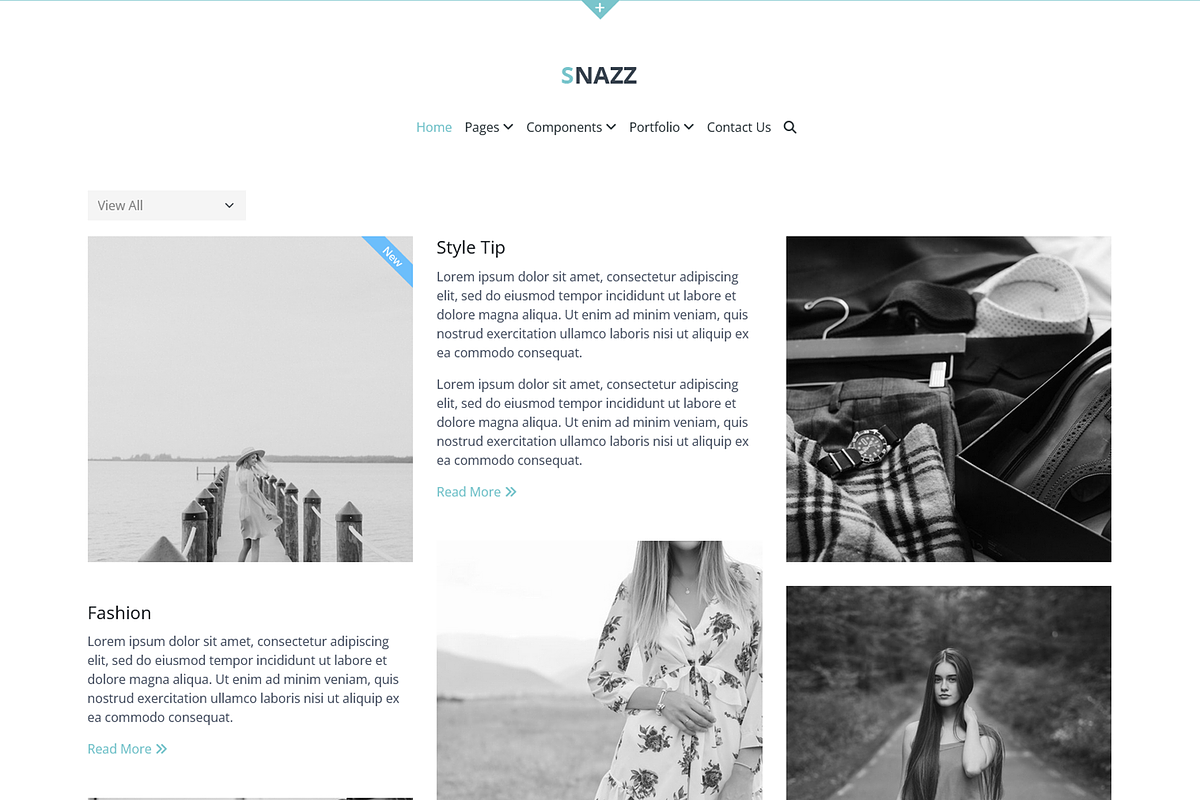 Snazz - Portfolio HTML5 Template, a HTML Template by ColorsThemes (Photo 2 of 3)