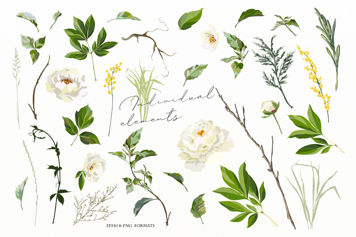 White peonies, a Decorative Illustration by Vasmila (Photo 6 of 9)
