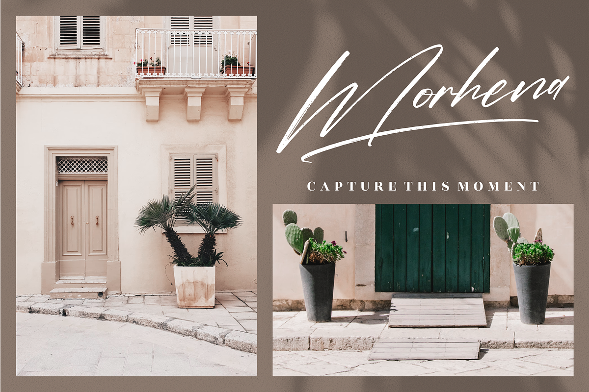 Pantherdam Signature Signature Brush, a Script Font by Letterena Studios Script (Photo 6 of 15)