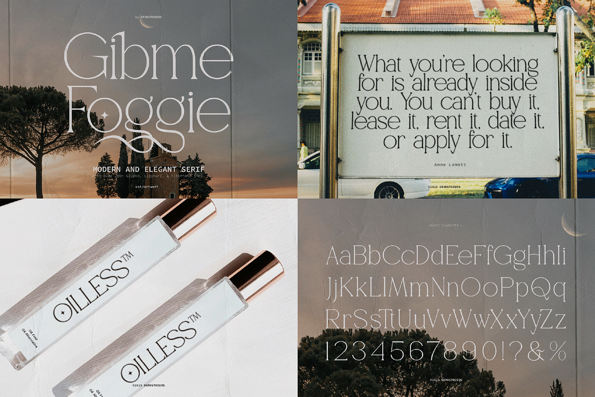 90% OFF! Modern Serif Font Bundle, a Serif Font by Denustudios (Photo 13 of 16)