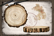 Hedgehog Watercolor Illustration, a Decorative Illustration by DioFlow (Thumbnail 6 of 6)
