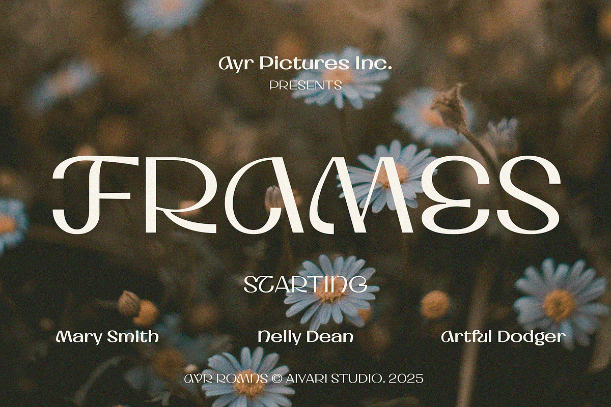 Romns Font Family, a Sans Serif Font by Aiyari (Photo 8 of 13)
