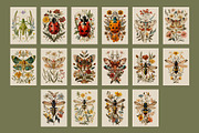 Insects | Vintage posters, a Graphic by katieromanoff_art (Thumbnail 11 of 12)