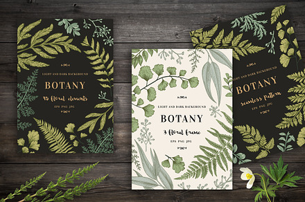 Botanical cards. Set with leaves.