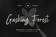 Lustine Signature – Modern Script, a Script Font by kangfont Studio (Thumbnail 3 of 8)