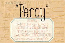 Brush Serif - Percy *Hand Painted*