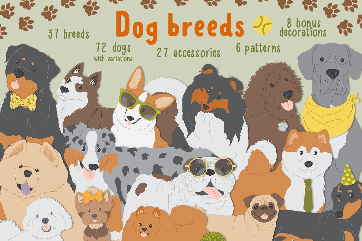 Dog breeds vector clipart, an Object Graphic by Trinibis (Photo 1 of 11)