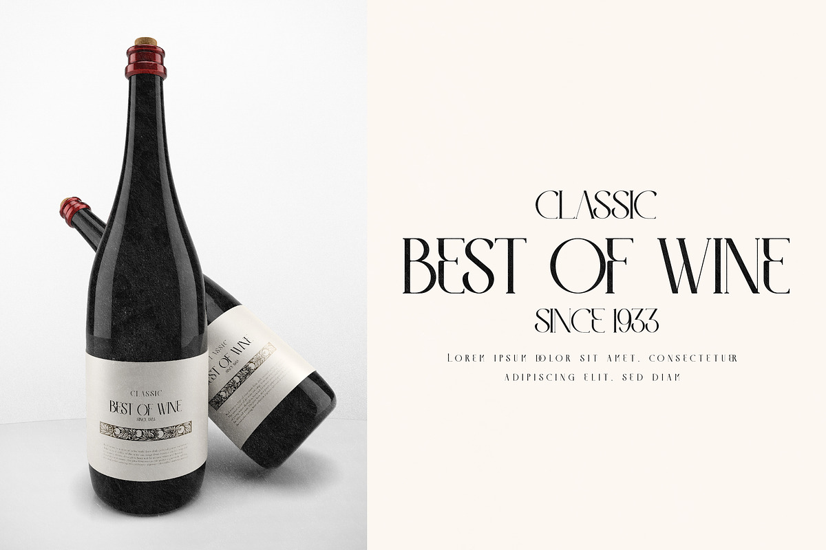 LITERACY Modern and Stylish Serif, a Serif Font by Storytype Studio (Photo 7 of 15)
