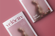 Edensor Pro – Romantic Luxury Serif, a Serif Font by FactoryType Studio (Thumbnail 10 of 12)