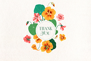 Nasturtium summer flowers clipart, a Decorative Illustration by Harmony Draws (Thumbnail 8 of 8)