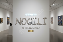 Nogili - A Modern Luxury Serif Typef