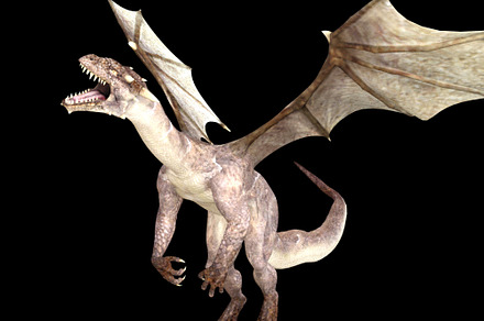 Flying dragon, an Object Graphic by FlyOk