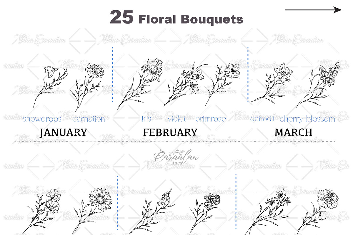Fine Line Birth flowers Collection, an Illustration by CaraulanStore (Photo 2 of 8)