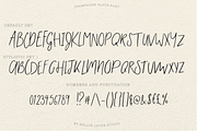 Champagne Flute Calligraphy Font, a Script Font by Kellie Jayne Studio (Thumbnail 8 of 10)
