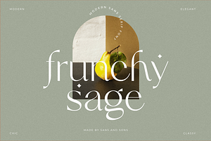 Frunchy - Modern Chic Font, a Sans Serif Font by Sans & Sons