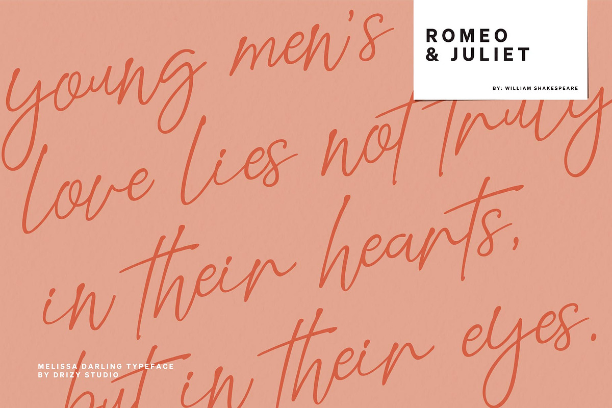 Mellissa Darling, a Script Font by Drizy (Photo 5 of 11)