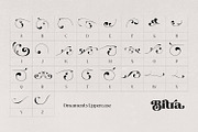 Bitra - Beauty Serif Family, a Serif Font by creativemedialab (Thumbnail 15 of 17)
