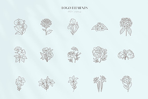 Floral Logo Elements And Templates