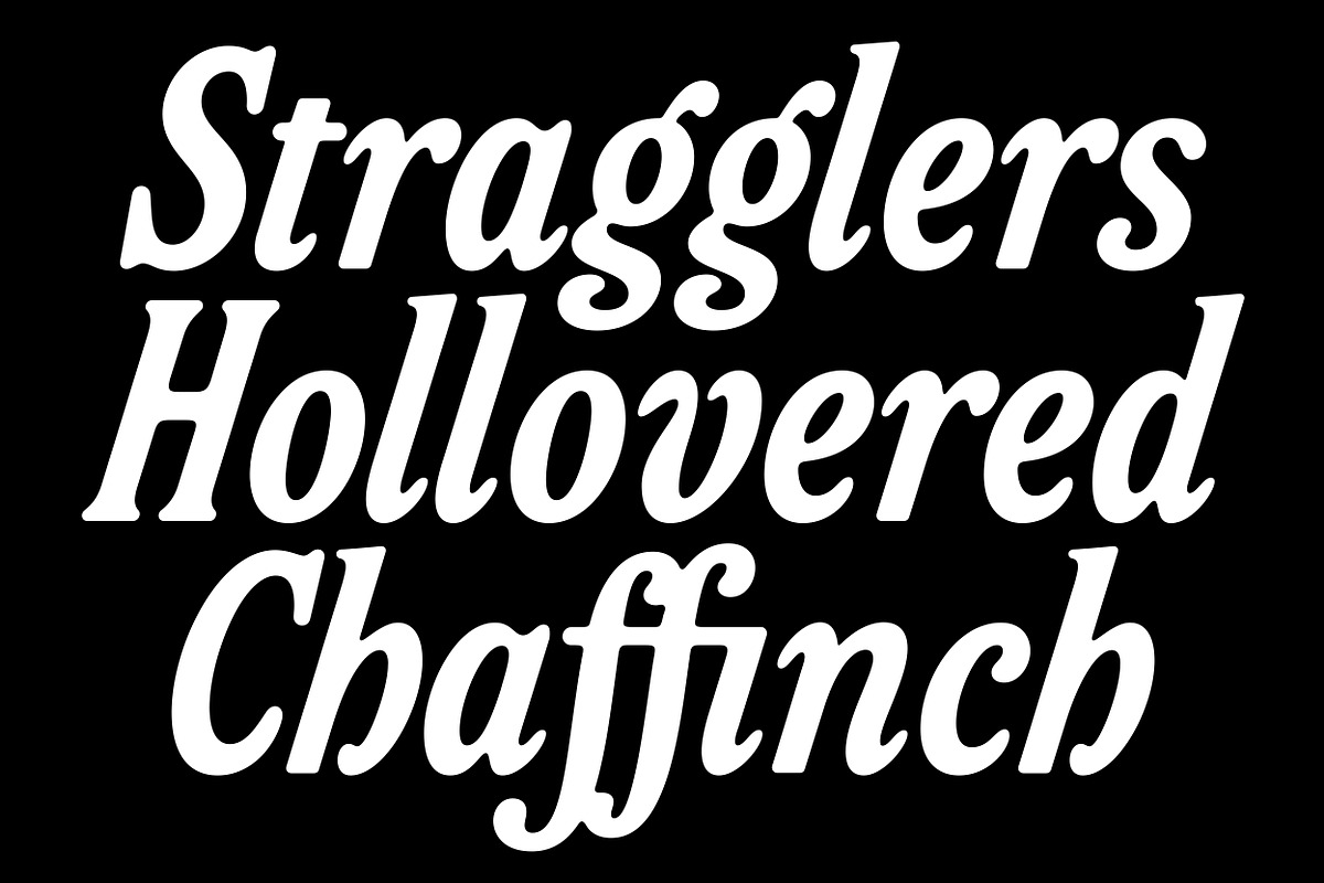 Friend Italic, a Serif Font by Simon Walker (Photo 2 of 9)