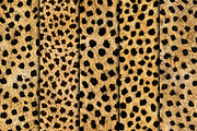 Realistic Cheetah Print Fur Texture, a Pattern Graphic by Artonix (Thumbnail 2 of 4)