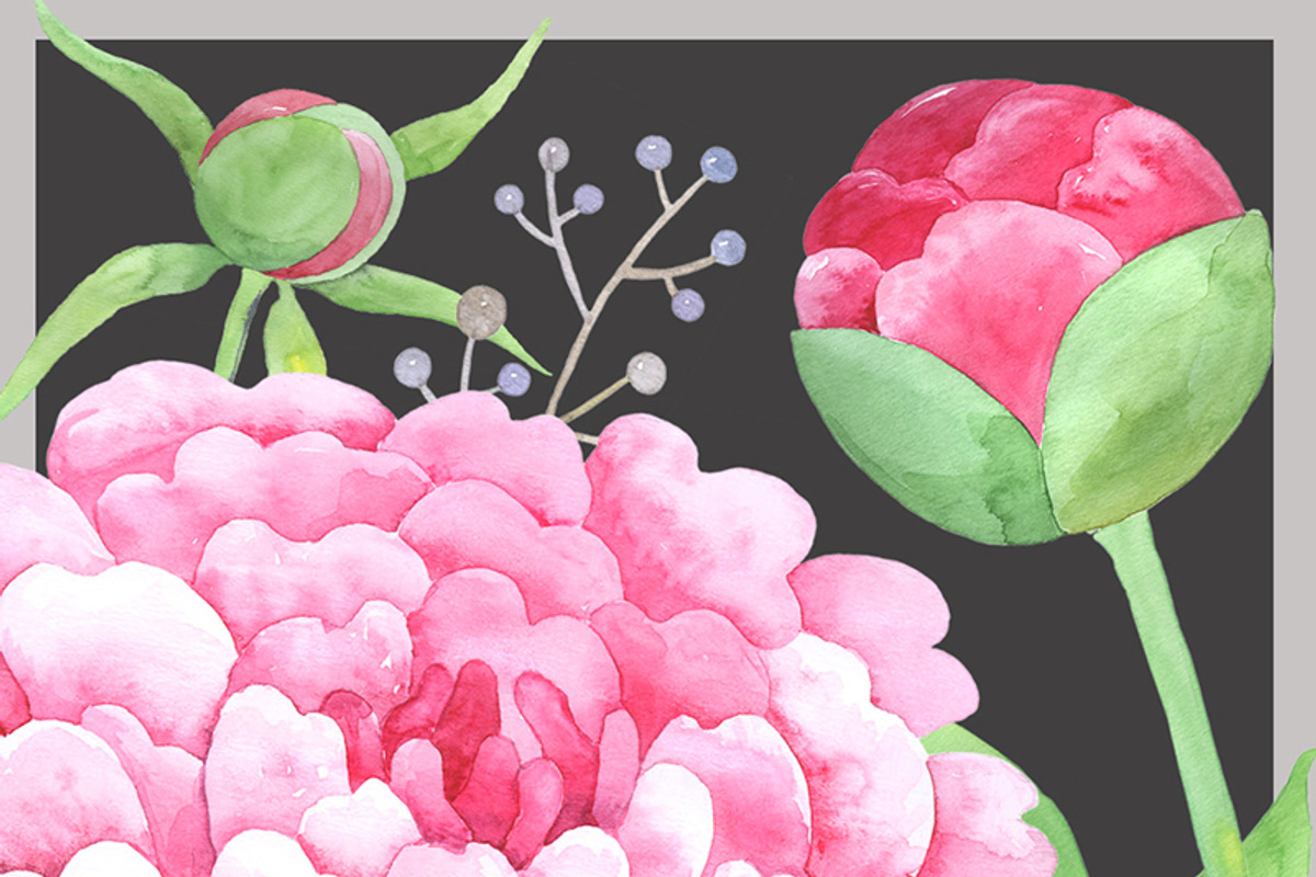 Warercolor Clipart Royal Peony Pink, an Illustration by AqwaColor (Photo 4 of 4)